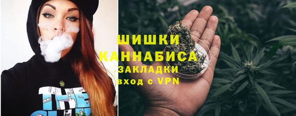 PSILOCYBIN Балабаново