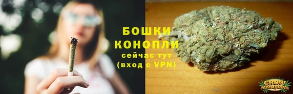 PSILOCYBIN Балабаново