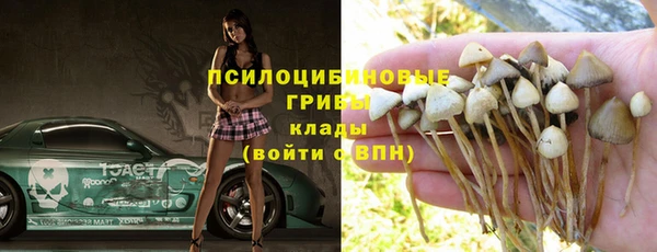 амф Аркадак