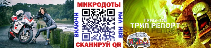 Псилоцибиновые грибы GOLDEN TEACHER  Бологое 