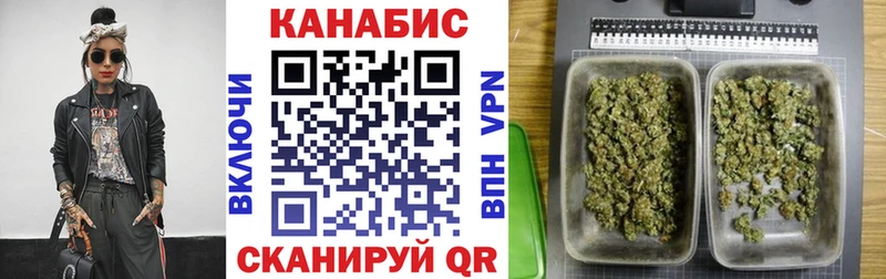 Бошки Шишки ГИДРОПОН  Бологое 